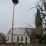 20190119_Narrenbaum_stellen04