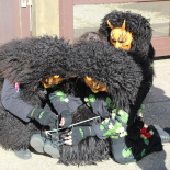 20190304_Umzug_Kappel_14