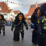 20200125_Baisinger_Narren_Umzug_Hailfingen_05