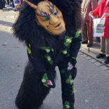 20200216_UmzugMössingen_04