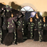 20200220_Rathaussturm_23